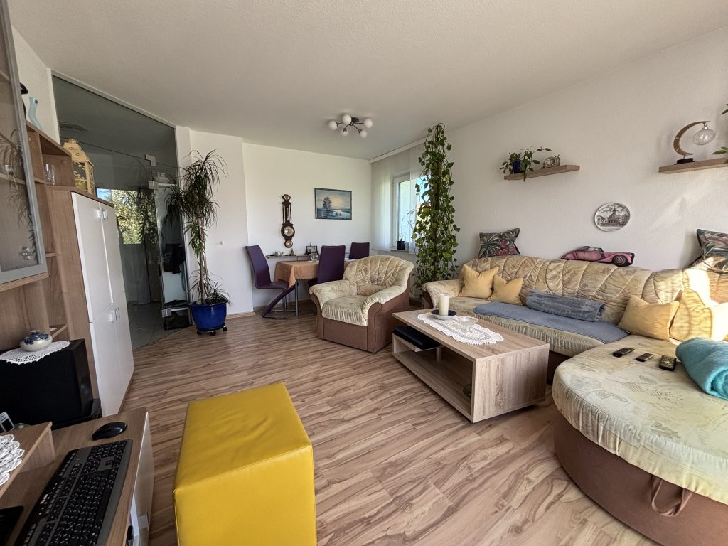 Wohnzimmer Haus Georgsmarienhütte